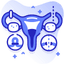 vagina ovary